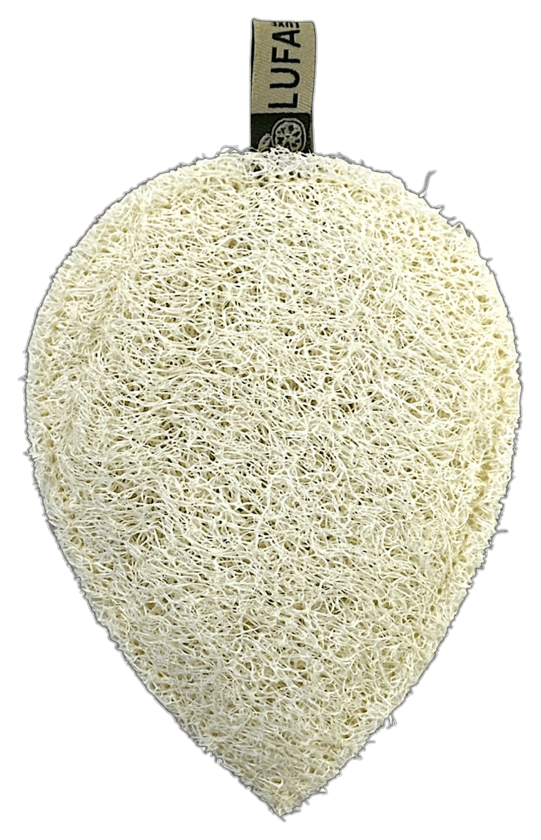 Facial Sponge
